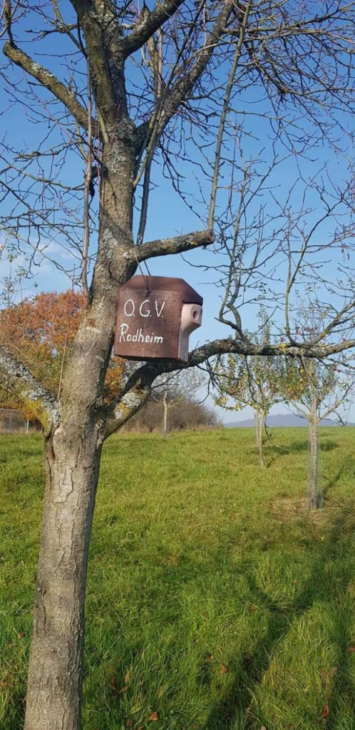 Dieses Bild hat ein leeres Alt-Attribut. Der Dateiname ist image-5-498x1024.png