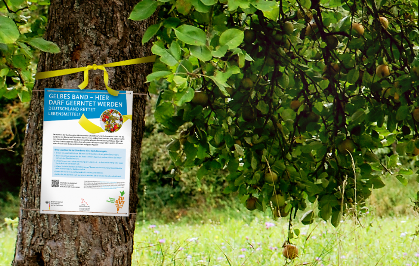 Dieses Bild hat ein leeres Alt-Attribut. Der Dateiname ist image-4.png